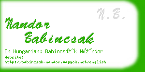 nandor babincsak business card